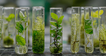 Video thumbnail of podcast episode